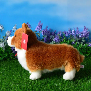 Simulation Puppy Dog sttuffed Plush 25CM Welsh Corgi Pembroke